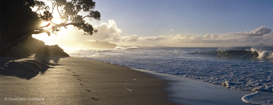 activities at Bream Bay and Waipu